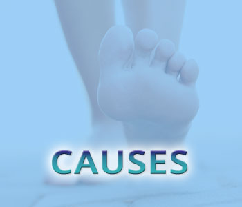 causes